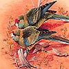 Two lonely bird puzzle