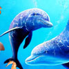 Under Water Fishes