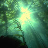 Under Water