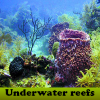 Underwater reefs