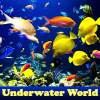 Underwater World