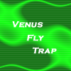 Venus Fly Trap