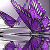 Violet butterflies slide puzzle