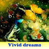 Vivid dreams 5 Differences