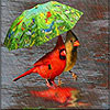 Walking in the rain slide puzzle