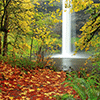 Waterfall in Fall Jigsaw Puzzle