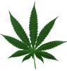 Weed Collector