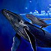 Whale family in the ocean puzzle