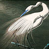White dream bird slide puzzle