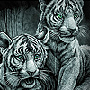 White funky tigers slide puzzle