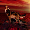 Wild dog slide puzzle