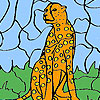 Wild leopard coloring