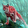 Wild lynx in the woods puzzle