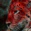 Wild red  tiger puzzle