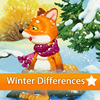 Winter 5 Differences