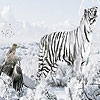 Winter and animals hidden numbers