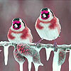 Winter birds slide puzzle