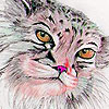 Winter sweety cat puzzle