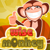 Wise Monkey