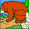 Wolf on the  rock coloring