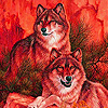 Wolves in the jungle slide puzzle