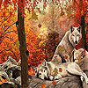 Wolves in the woods slide puzzle