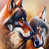 Woods wolves couple puzzle