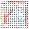 WordSearch: Internet