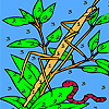 Worm and dragonfly coloring