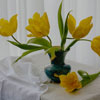Yellow tulips