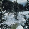 Yellowstone Jigsaw