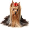 Yorkshire Terrier Jigsaw