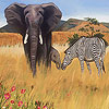 Zebra and elephants puzzle