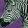 Zebras in the desert puzzle